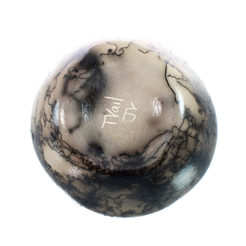 Native American Navajo Horse Hair Pottery JX130489