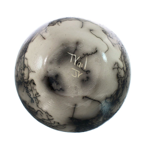 Native American Navajo Horse Hair Pottery JX130478