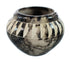Native American Navajo Horse Hair Pottery JX130459