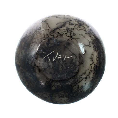 Native American Navajo Horse Hair Pottery JX130459