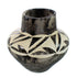 Native American Navajo Horse Hair Pottery JX130443