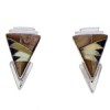 Tiger Eye And Multicolor Inlay Silver Earrings EX32466