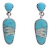 Turquoise And Opal Jewelry Post Dangle Earrings PX30006