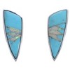 Sterling Silver Southwest Turquoise Opal Post Earrings FX32093