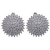 Cubic Zirconia Genuine Sterling Silver Post Earrings Jewelry AS55294