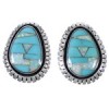 Southwest Turquoise And Opal Silver Post Earrings FX32861
