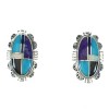 Multicolor Inlay Silver Post Earrings AX71424